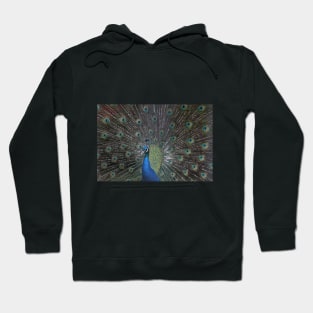 See Me Now Hoodie